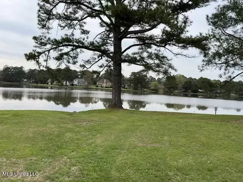 View/Area - 171 Lakebend Cir #171, Brandon, MS 39042 photo 2 of 3