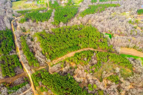 2750 Owens Cut-off Rd, Lexington, MS 39095