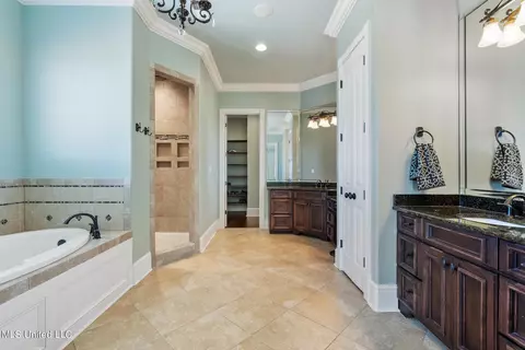 Bath - 140 Como Trace Dr, Senatobia, MS 38668 photo 2 of 6