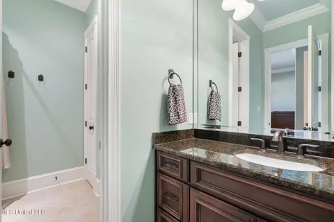 Bath - 140 Como Trace Dr, Senatobia, MS 38668 photo 5 of 6