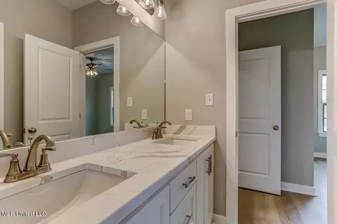 Bath - 9099 Treadway Creek Dr, Hernando, MS 38632 photo 14 of 14