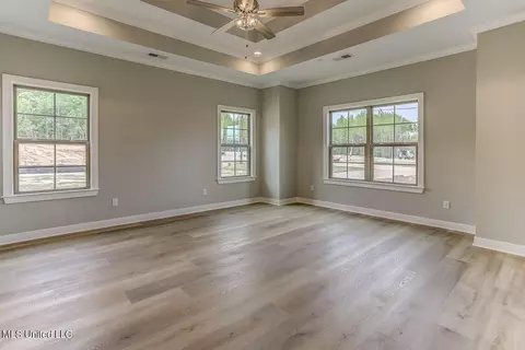 Other - 9099 Treadway Creek Dr, Hernando, MS 38632 photo 25 of 26