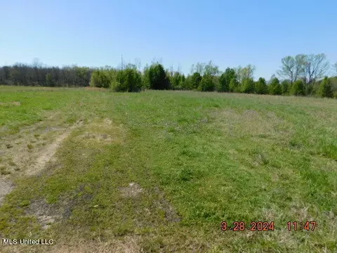 4587 Grazeland Dr, Olive Branch, MS 38654
