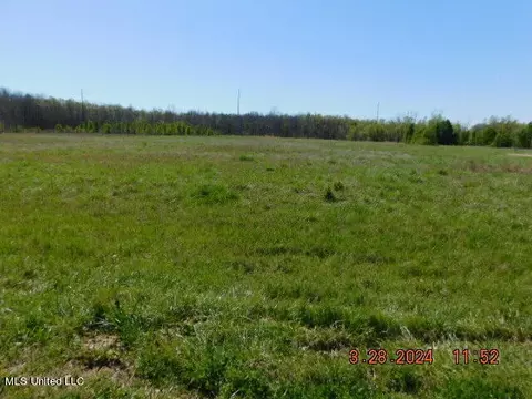 14243 Stockade Dr, Olive Branch, MS 38654