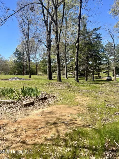 Exterior - 4478 Springridge Rd, Raymond, MS 39154 photo 6 of 11