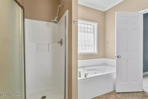 Bath - 292 Cherry Bark Dr, Brandon, MS 39047 photo 2 of 3