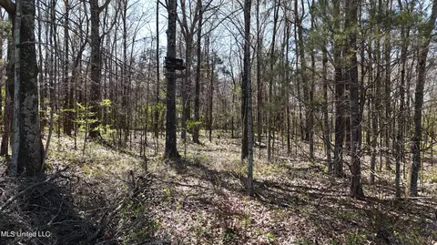 5701 Smith Rd, Coldwater, MS 38618 photo 15