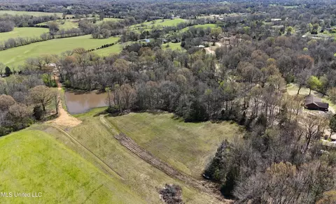 5701 Smith Rd, Coldwater, MS 38618 photo 14