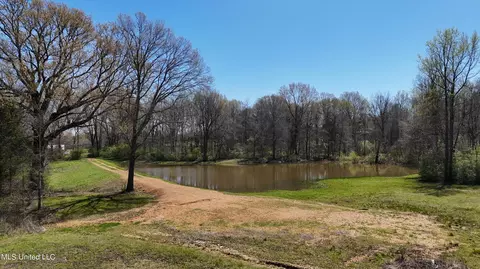 5701 Smith Rd, Coldwater, MS 38618 photo 4