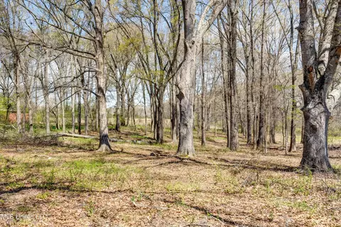 18 Oakley Rd, Senatobia, MS 38668 photo 3
