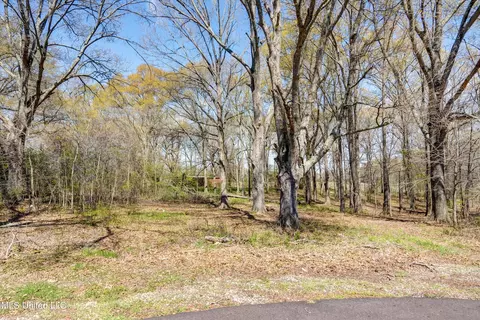 18 Oakley Rd, Senatobia, MS 38668 photo 5