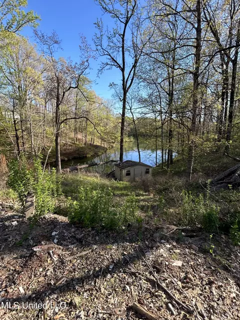 19601970 Konowa Cv, Hernando, MS 38632 photo 5
