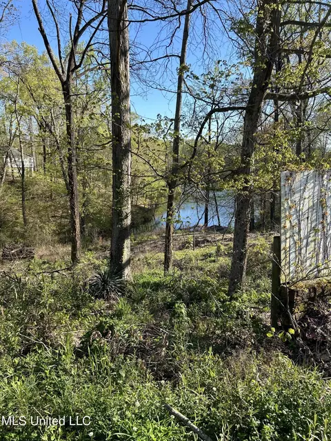 19601970 Konowa Cv, Hernando, MS 38632 photo 7
