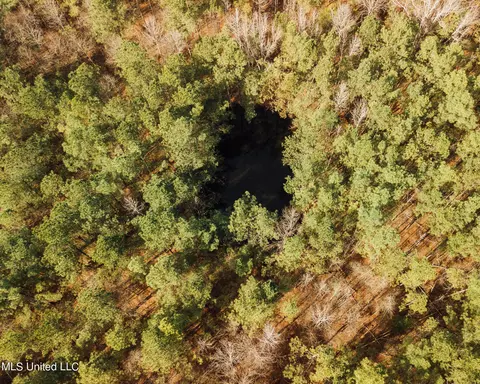 View/Area - 56 Weaver Ln, Preston, MS 39354 photo 6 of 7