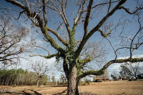 Other - 56 Weaver Ln, Preston, MS 39354 photo 5 of 8