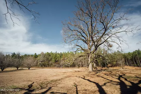 Exterior - 56 Weaver Ln, Preston, MS 39354 photo 11 of 13