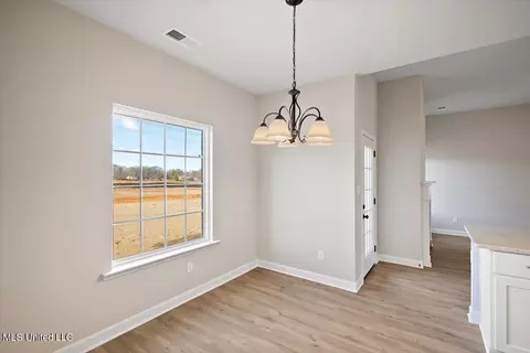 Other - 3192 Meadows Way, Hernando, MS 38632 photo 3 of 8