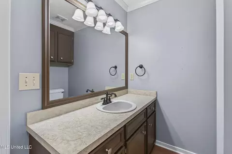 Bath - 325 S Place Dr, Madison, MS 39110 photo 4 of 4