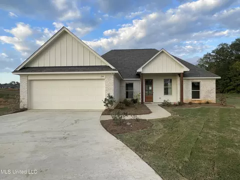 204 Silver Maple Place Pl #LOT 199, Canton, MS 39046