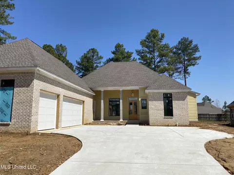347 Wellstone Pl, Madison, MS 39110