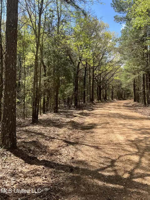County Road 276, Union, MS 39365 photo 2
