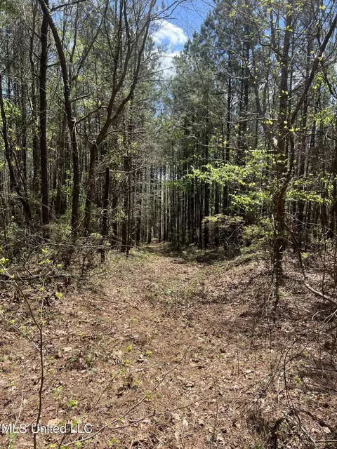 County Road 276, Union, MS 39365 photo 4