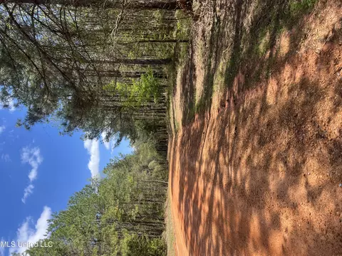 County Road 276, Union, MS 39365
