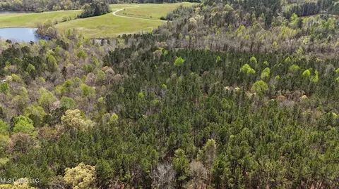County Road 276, Union, MS 39365 photo 8