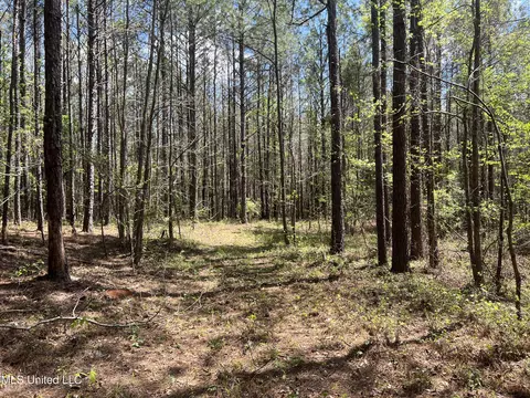 County Road 276, Union, MS 39365 photo 3