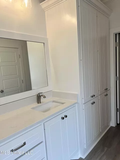 Bath - 257 Bronson Bnd, Flowood, MS 39232 photo 3 of 3