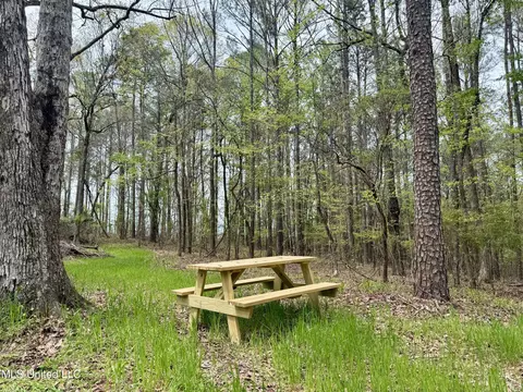 3753 Highway 471, Brandon, MS 39047 photo 5