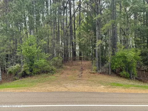 3753 Highway 471, Brandon, MS 39047 photo 31