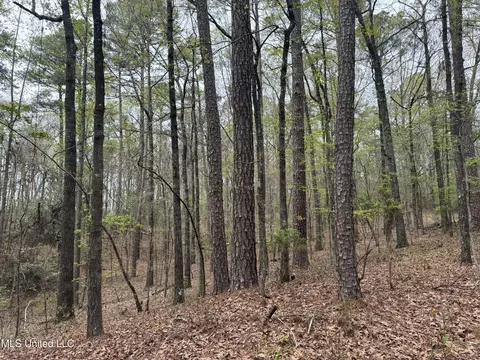 3753 Highway 471, Brandon, MS 39047 photo 18