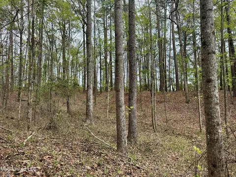 3753 Highway 471, Brandon, MS 39047 photo 9
