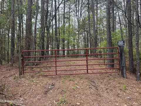 3753 Highway 471, Brandon, MS 39047 photo 24