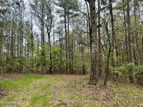 3753 Highway 471, Brandon, MS 39047 photo 3