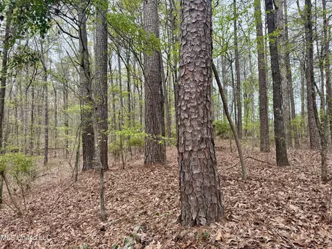 3753 Highway 471, Brandon, MS 39047 photo 7