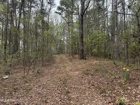 3753 Highway 471, Brandon, MS 39047 photo 26