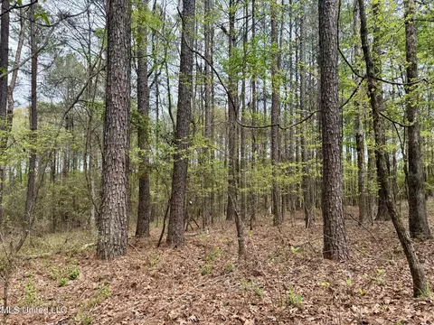3753 Highway 471, Brandon, MS 39047 photo 14