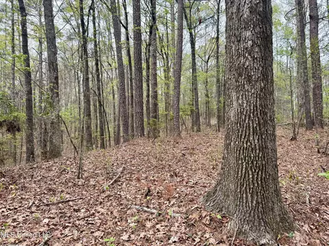 3753 Highway 471, Brandon, MS 39047 photo 12