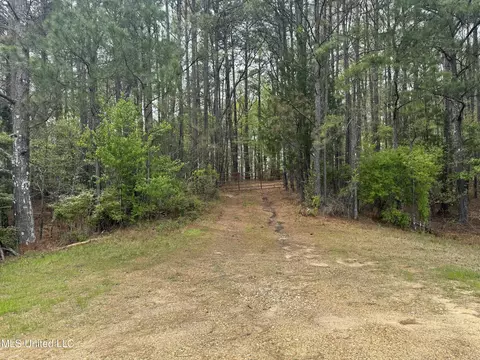 3753 Highway 471, Brandon, MS 39047 photo 22