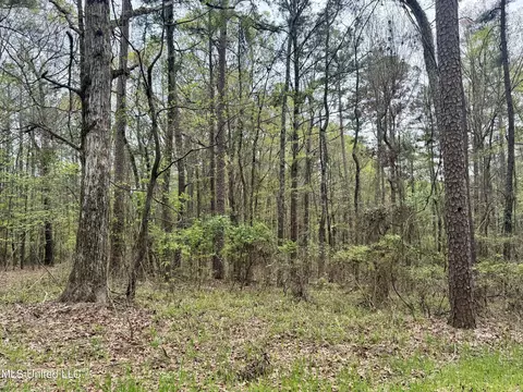 3753 Highway 471, Brandon, MS 39047 photo 6