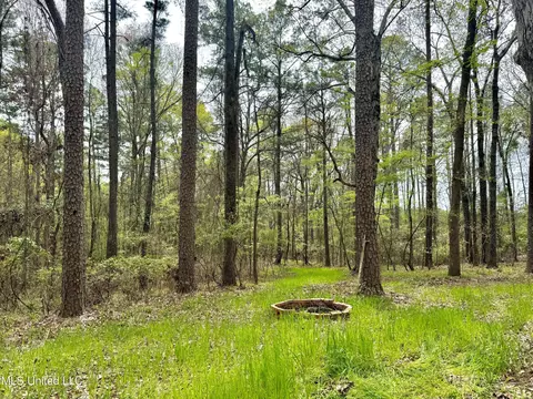 3753 Highway 471, Brandon, MS 39047 photo 8