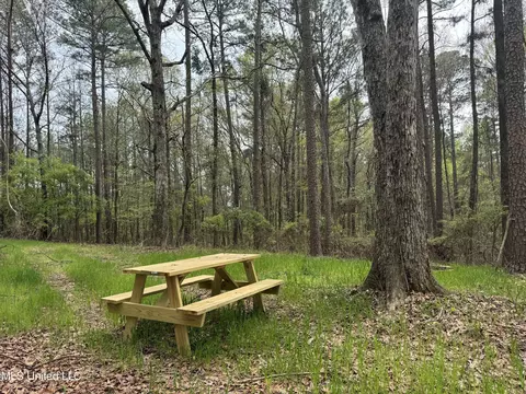 3753 Highway 471, Brandon, MS 39047 photo 16
