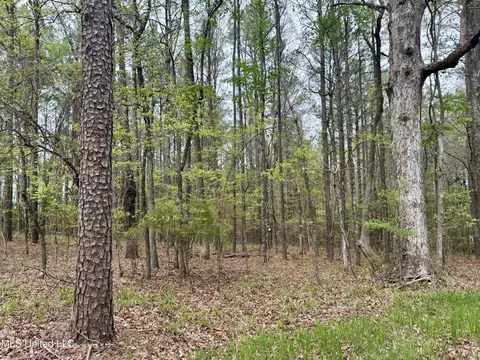 3753 Highway 471, Brandon, MS 39047 photo 2