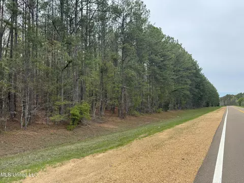 3753 Highway 471, Brandon, MS 39047 photo 23