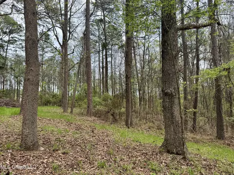 3753 Highway 471, Brandon, MS 39047 photo 10