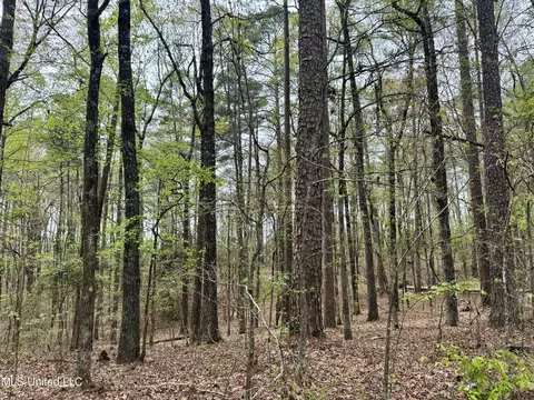 3753 Highway 471, Brandon, MS 39047 photo 13