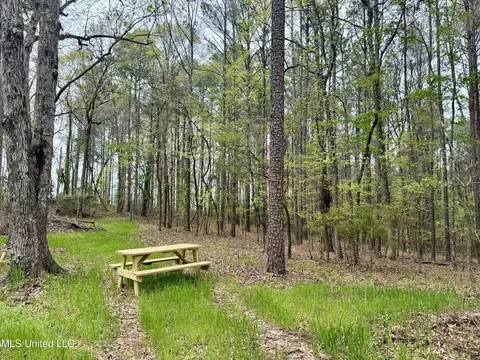3753 Highway 471, Brandon, MS 39047 photo 11