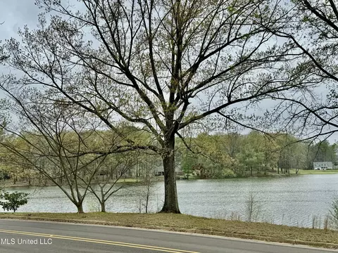 6830 E Lake Forest Dr, Walls, MS 38680 photo 20
